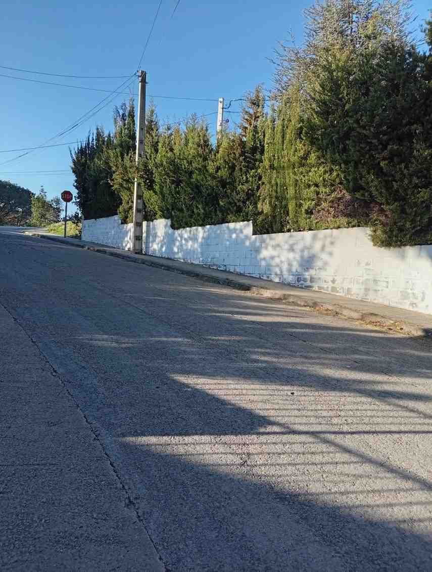 Carretera asfaltada ascendiendo una colina junto a un muro blanco y setos verdes bajo un cielo azul.