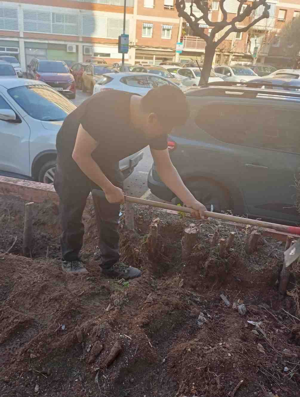 Hombre usando una pala para cavar en un cantero de jardín cerca de autos estacionados.