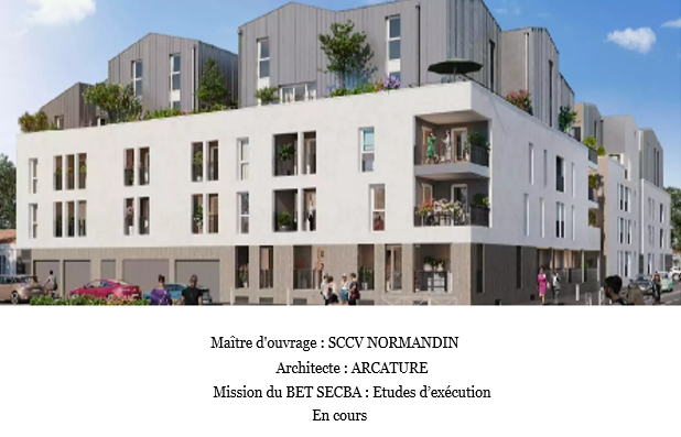 Construction plusieurs logements et d'une résidence