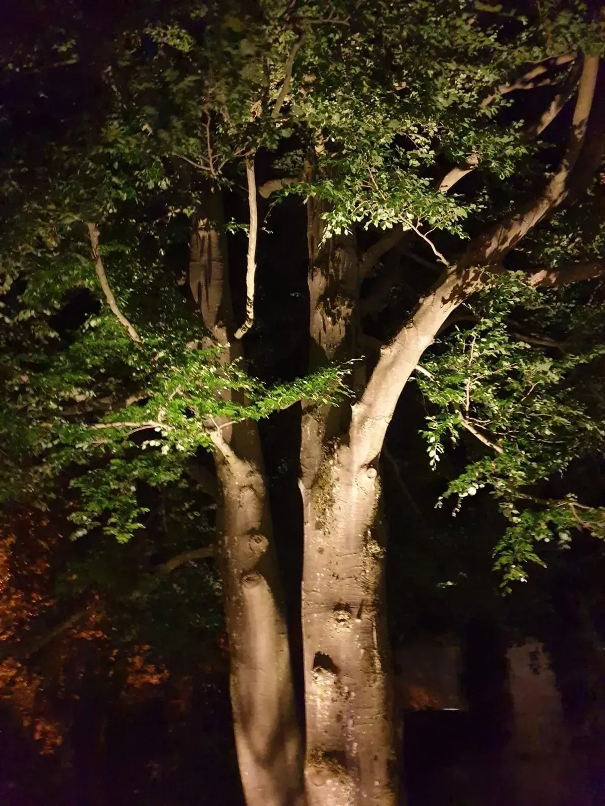 Lichtsystem aussen