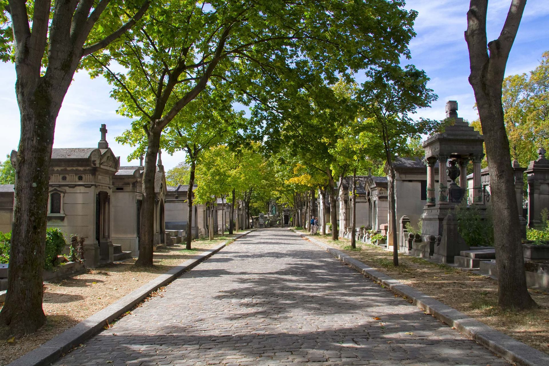 Ein Friedhof mit Bäumen auf beiden Seiten der Straße