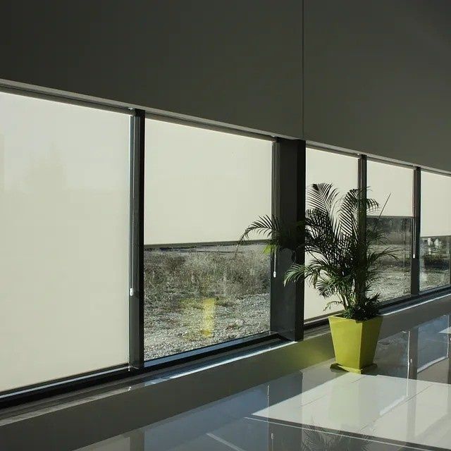 Pasillo moderno con grandes ventanales, persianas esmeriladas y una palmera en maceta de color amarillo brillante.
