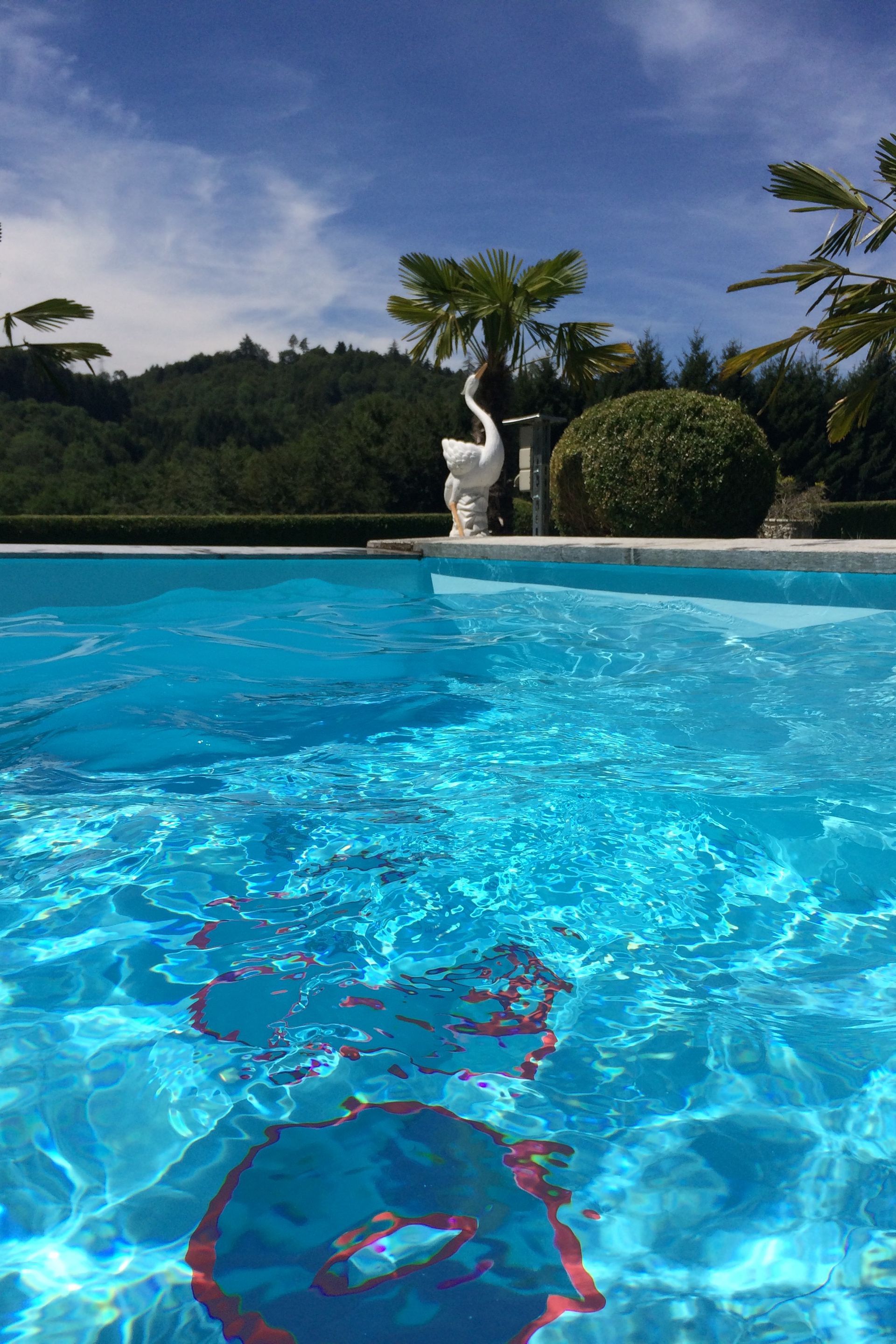 Ein großes Schwimmbecken mit einer Statue am Wasser.