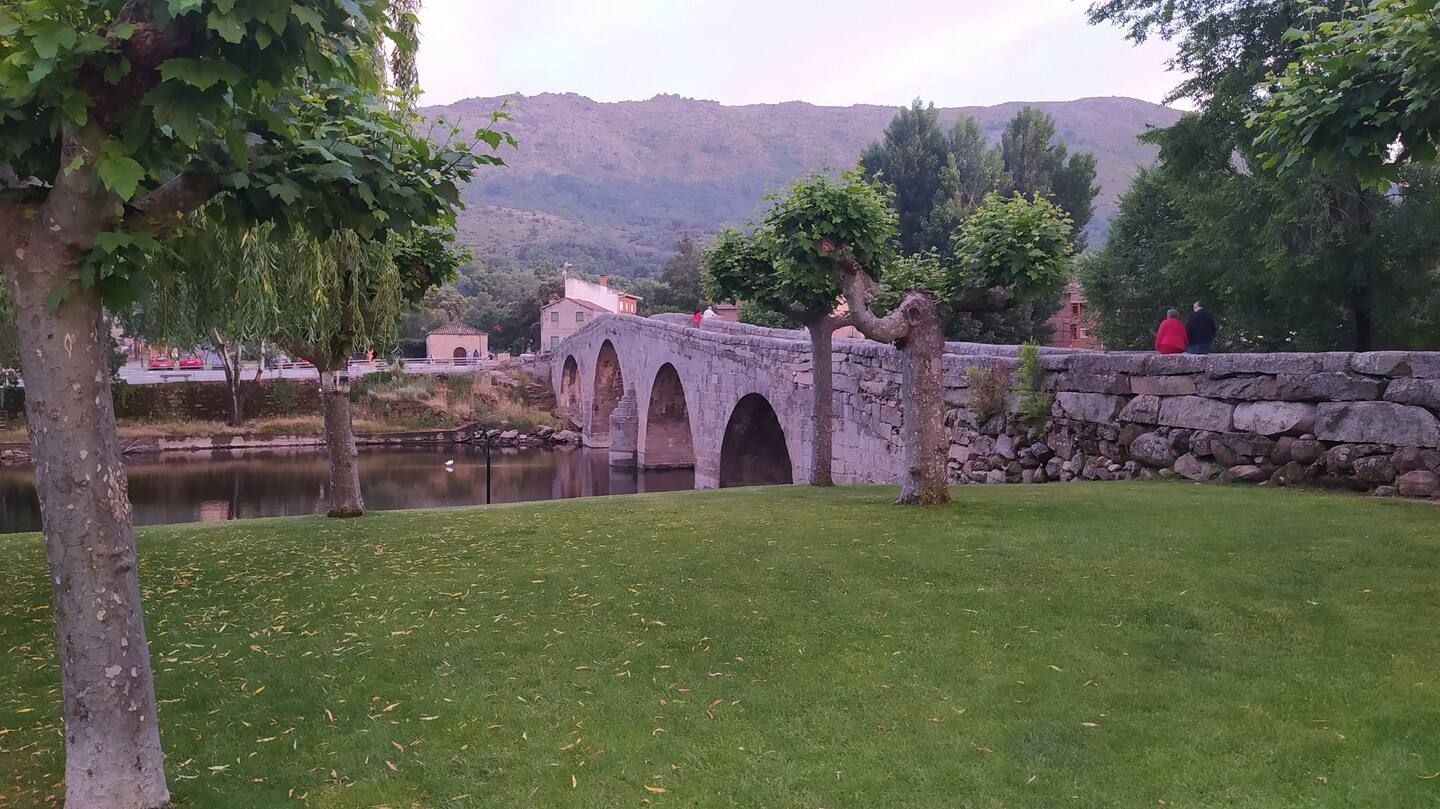 Un puente sobre un río en un parque con árboles y césped.