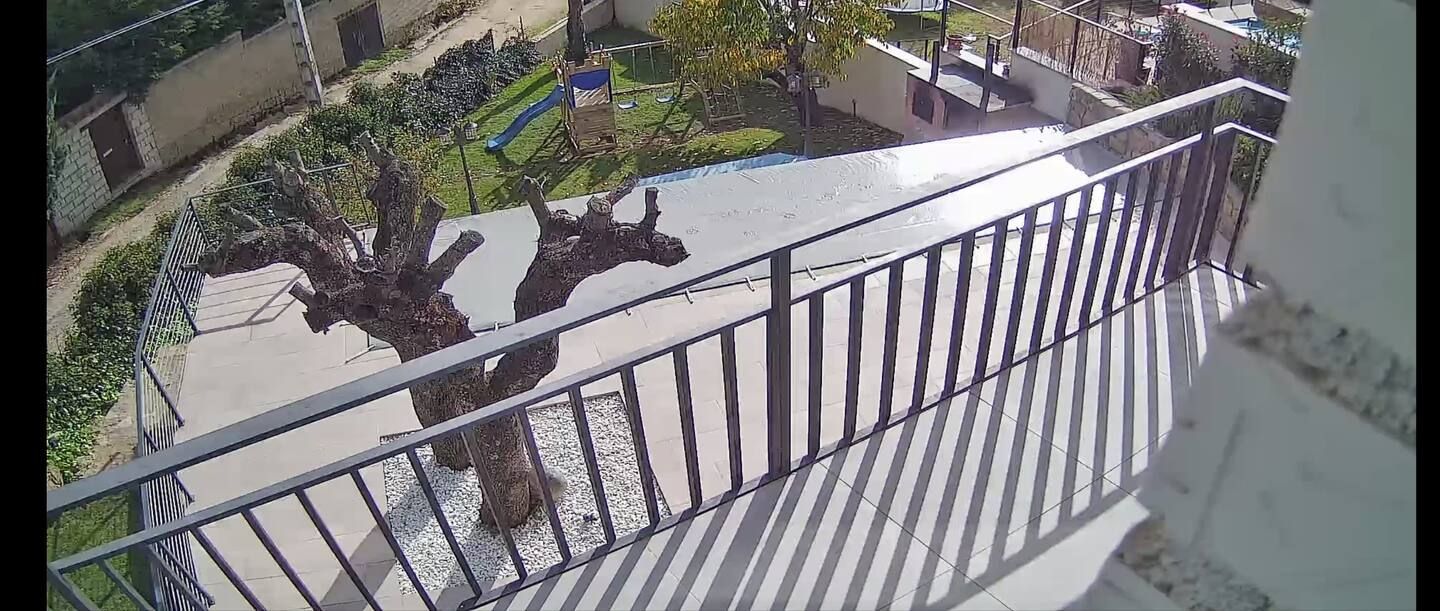 Un balcón con una valla y un árbol al fondo.