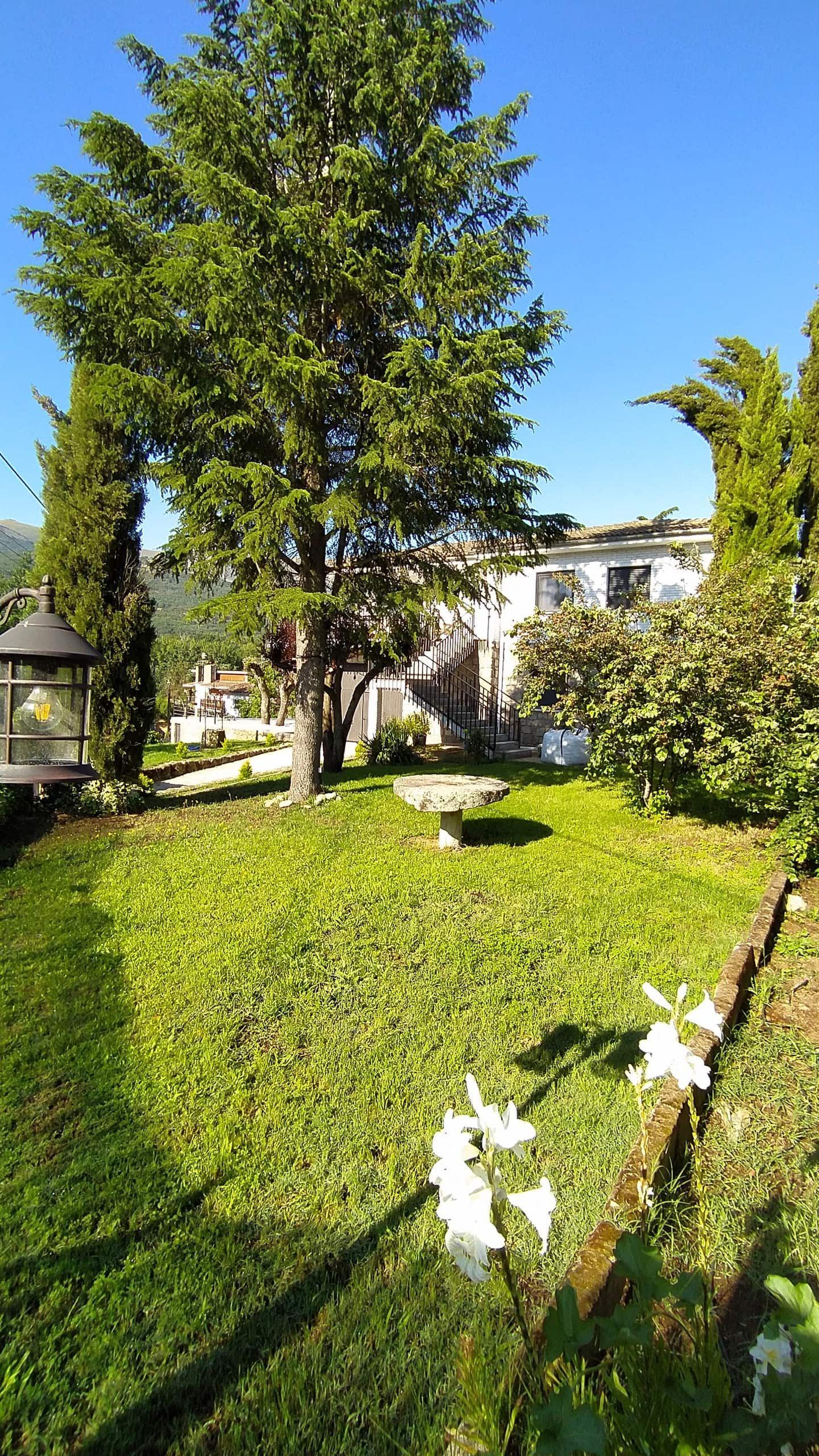 Un jardín con un árbol y flores en primer plano y una casa al fondo.