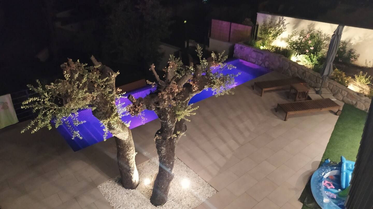 Una vista aérea de una piscina por la noche con árboles en primer plano.