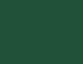 Un fond vert foncé uni.