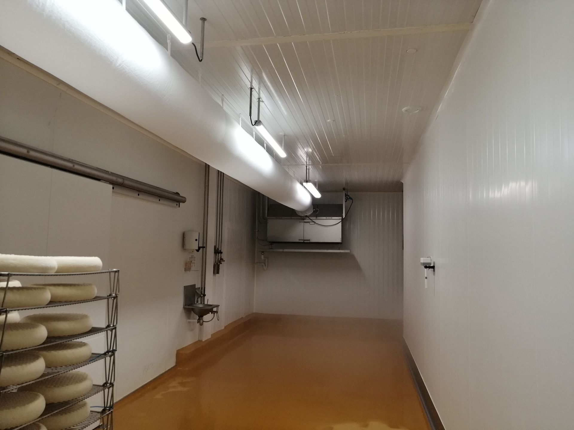 Intérieur d'un atelier d'affinage de fromagerie avec système de maintien de température