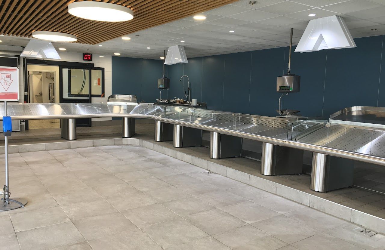 Tables d'étalage de poisson en acier inoxydable vides, adossées à un mur bleu, éclairées par des lampes zénithales.