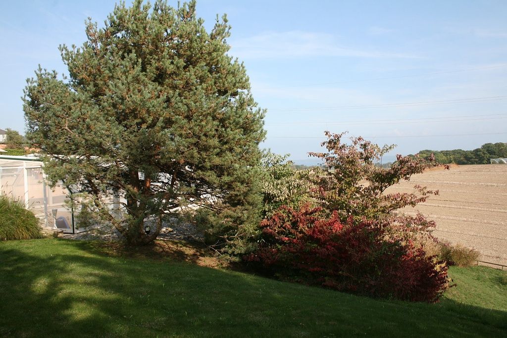 Philippe Fischer - Paysagisme