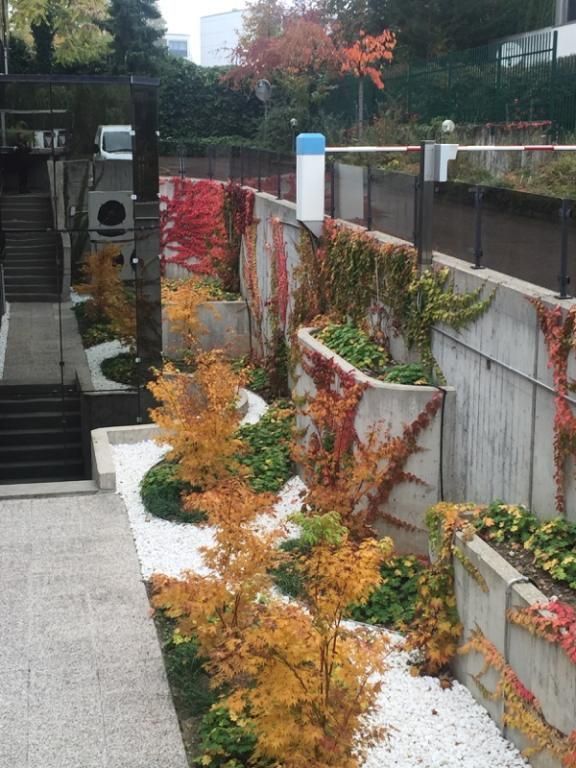 Philippe Fischer - Paysagisme