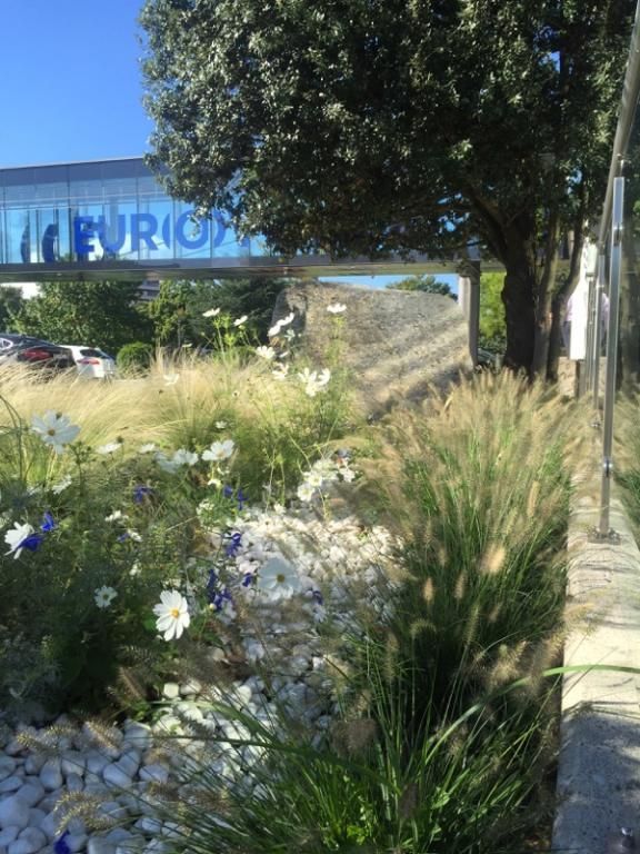 Philippe Fischer - Paysagisme