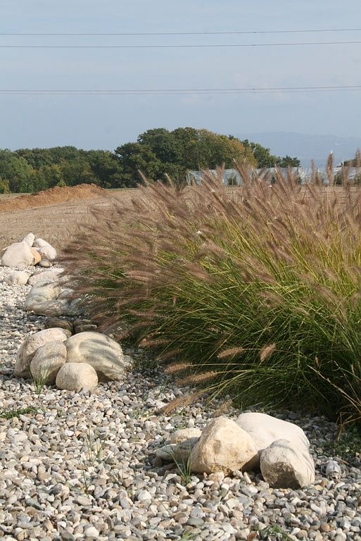 Philippe Fischer - Paysagisme