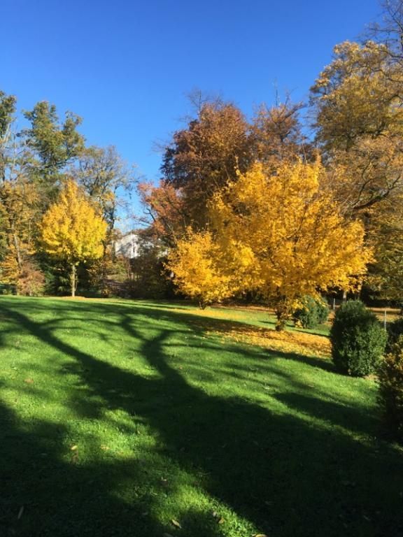 Philippe Fischer - Paysagisme