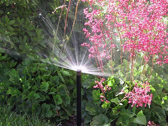 Philippe Fischer - Paysagisme