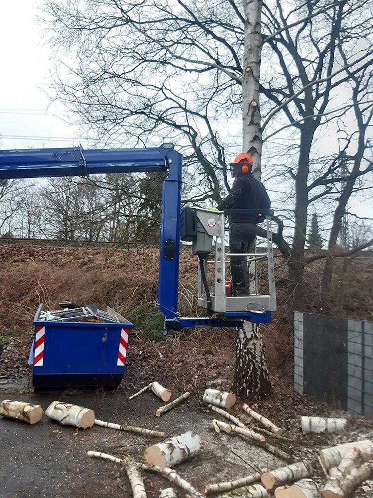 Ein Mann steht in einem Eimer auf einem Kran und fällt einen Baum.