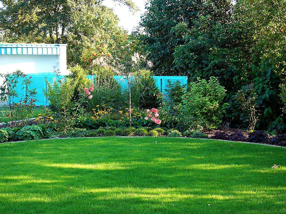 Ein üppiger grüner Rasen mit einem blauen Zaun im Hintergrund