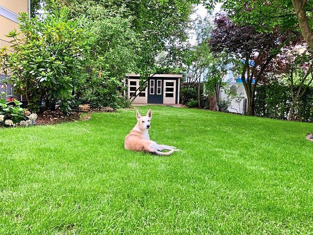 Groppe Garten- und Landschaftsbau GmbH-Dortmund