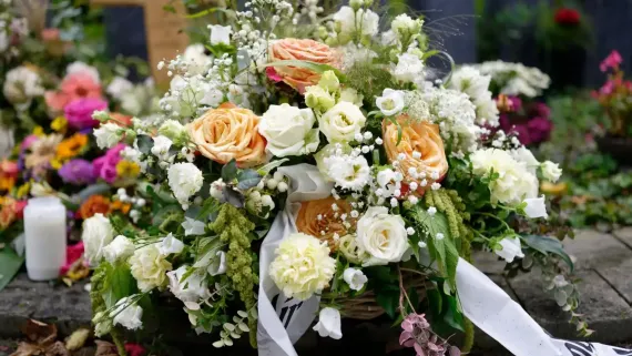 Flores de cerezo blancas floreciendo en una rama bajo la suave luz del sol.