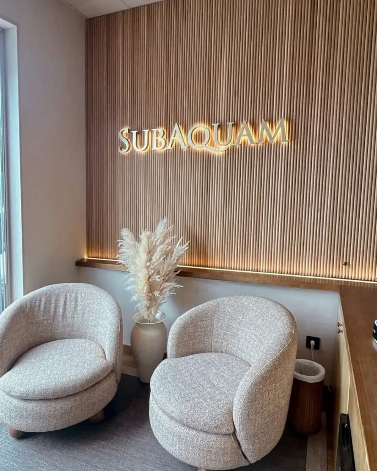 Sala de espera con dos sillones beige, pasto de la pampa y un cartel de 