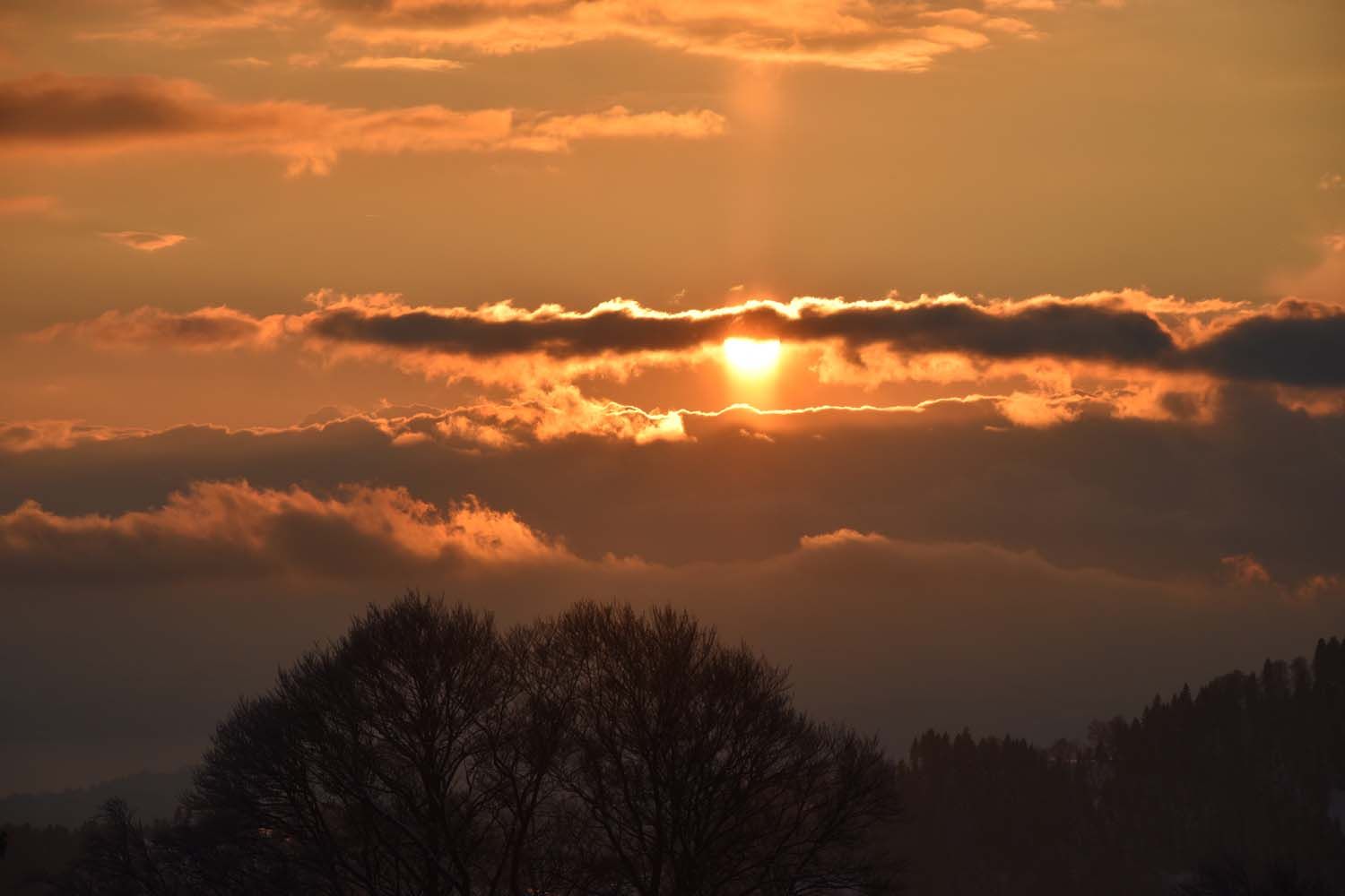 Bergrestaurant - Bergrestaurant Atzmännig Harz in Goldingen