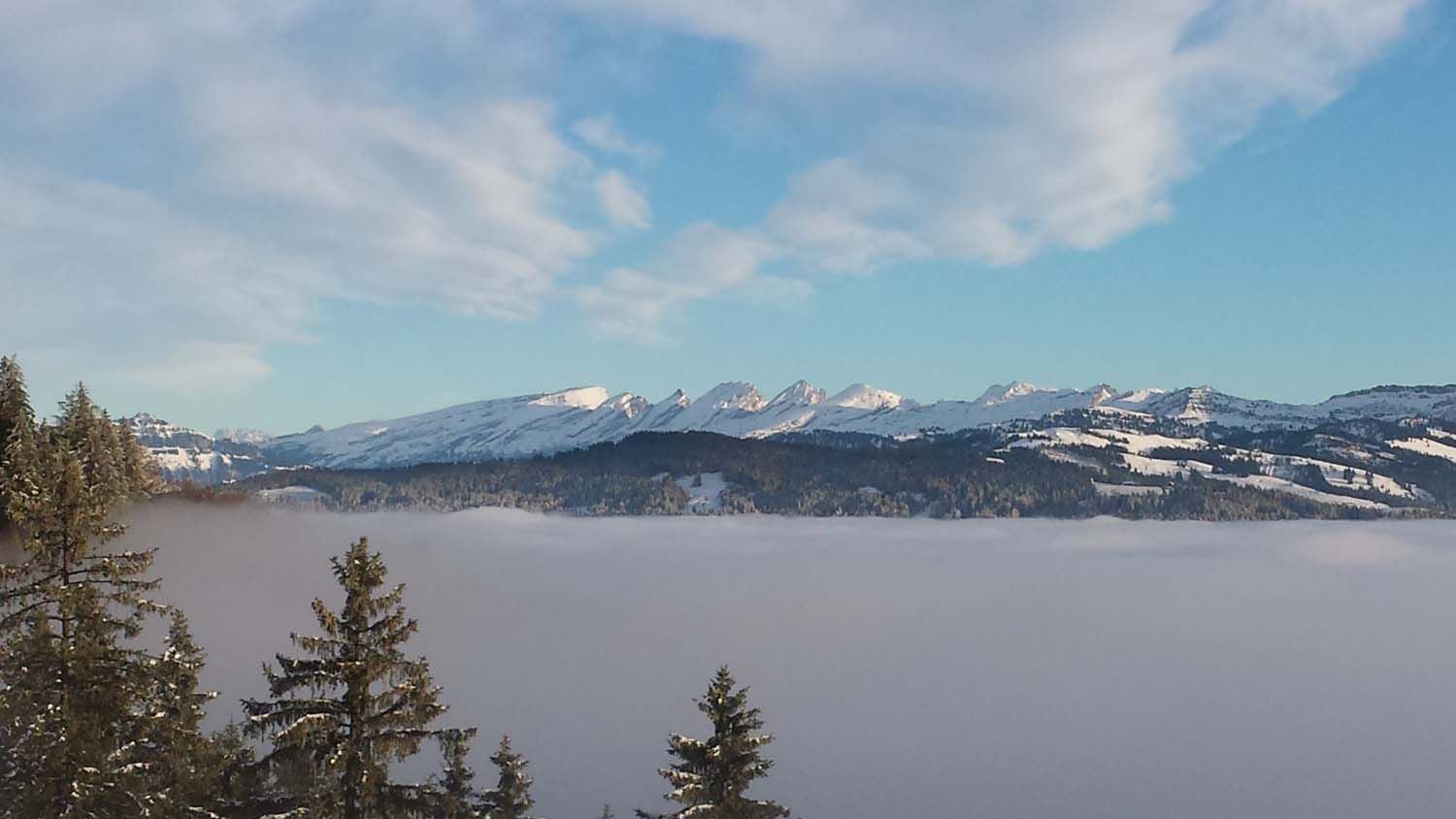 Bergrestaurant - Bergrestaurant Atzmännig Harz in Goldingen