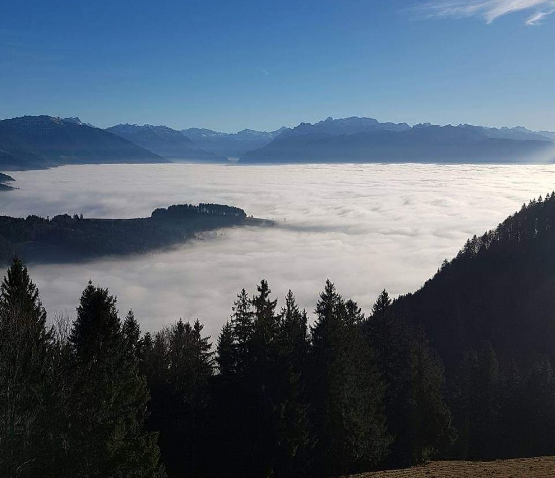 Bergrestaurant - Bergrestaurant Atzmännig Harz in Goldingen