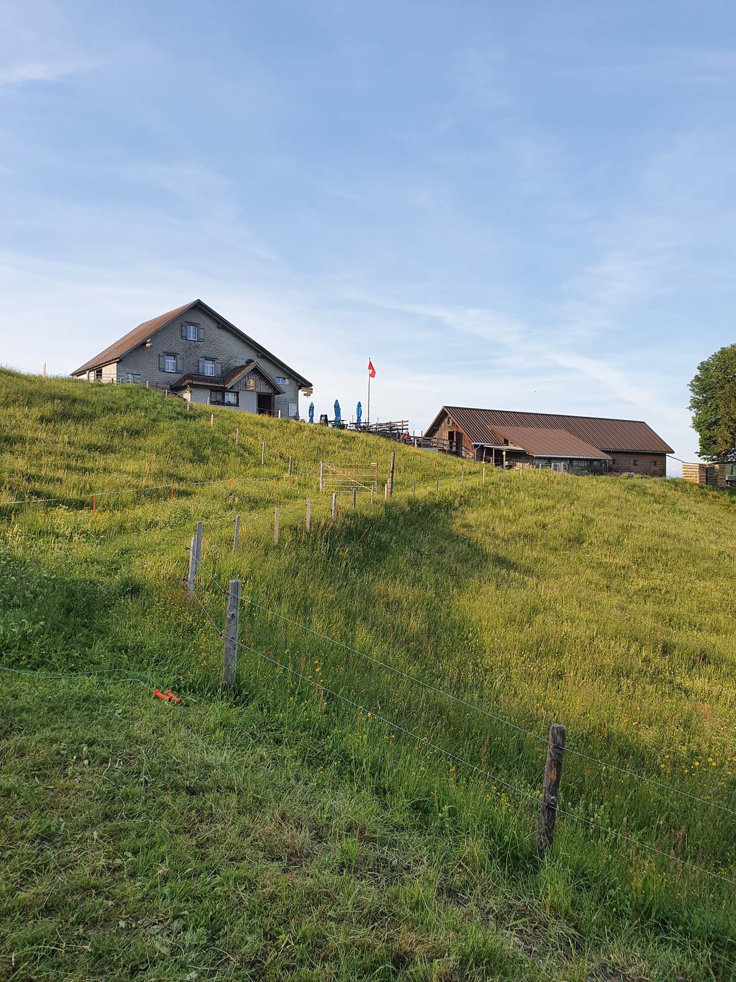 Bergrestaurant - Bergrestaurant Atzmännig Harz in Goldingen