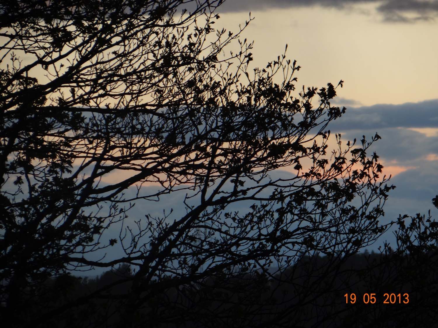Bergrestaurant - Bergrestaurant Atzmännig Harz in Goldingen
