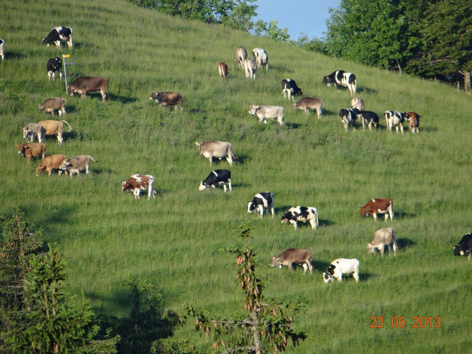 Bergrestaurant - Bergrestaurant Atzmännig Harz in Goldingen