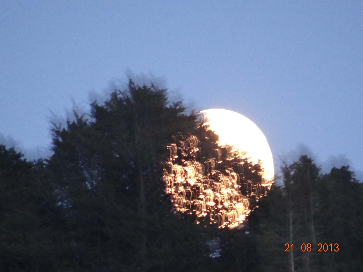 Bergrestaurant - Bergrestaurant Atzmännig Harz in Goldingen