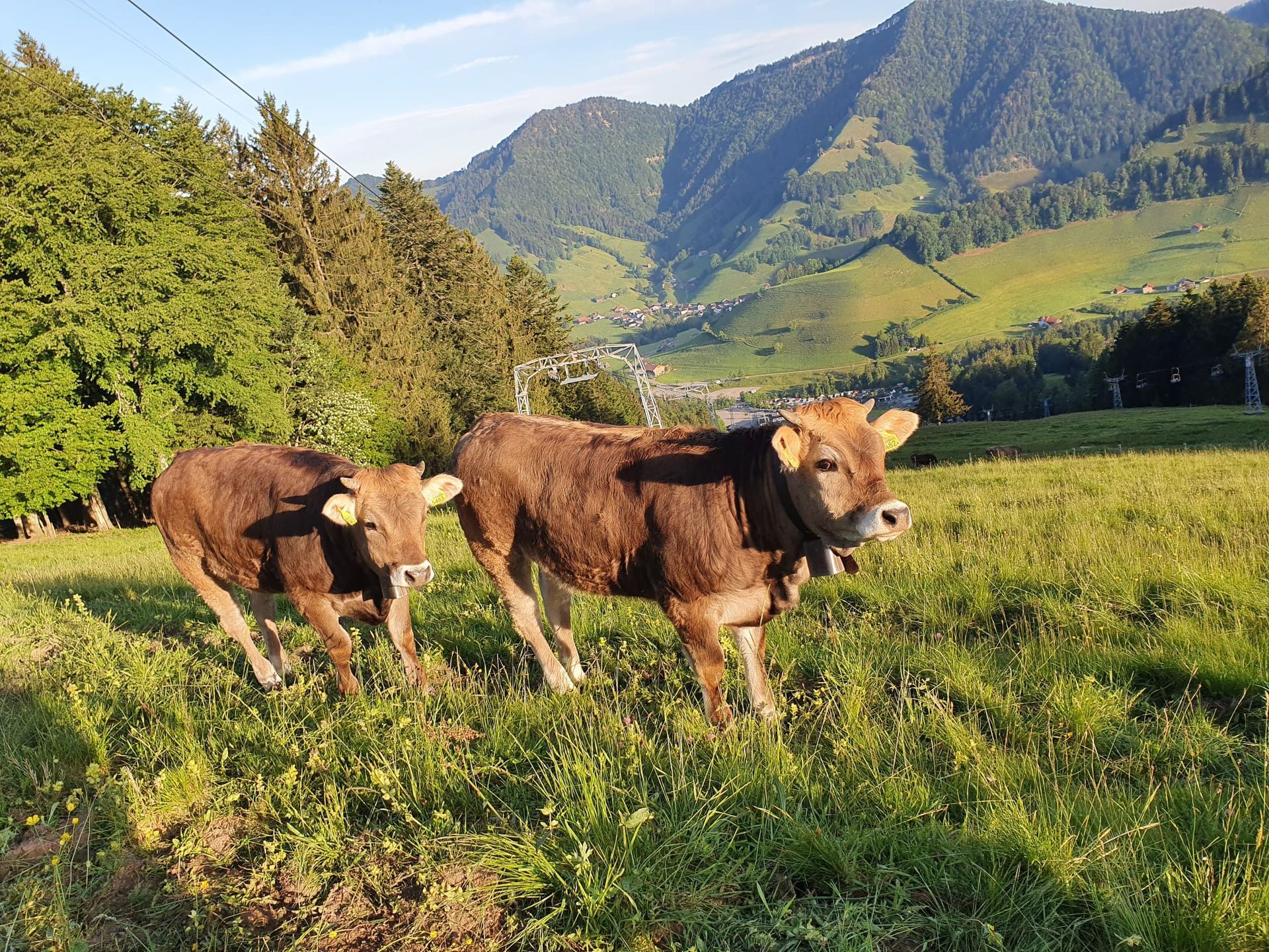 Bergrestaurant - Bergrestaurant Atzmännig Harz in Goldingen