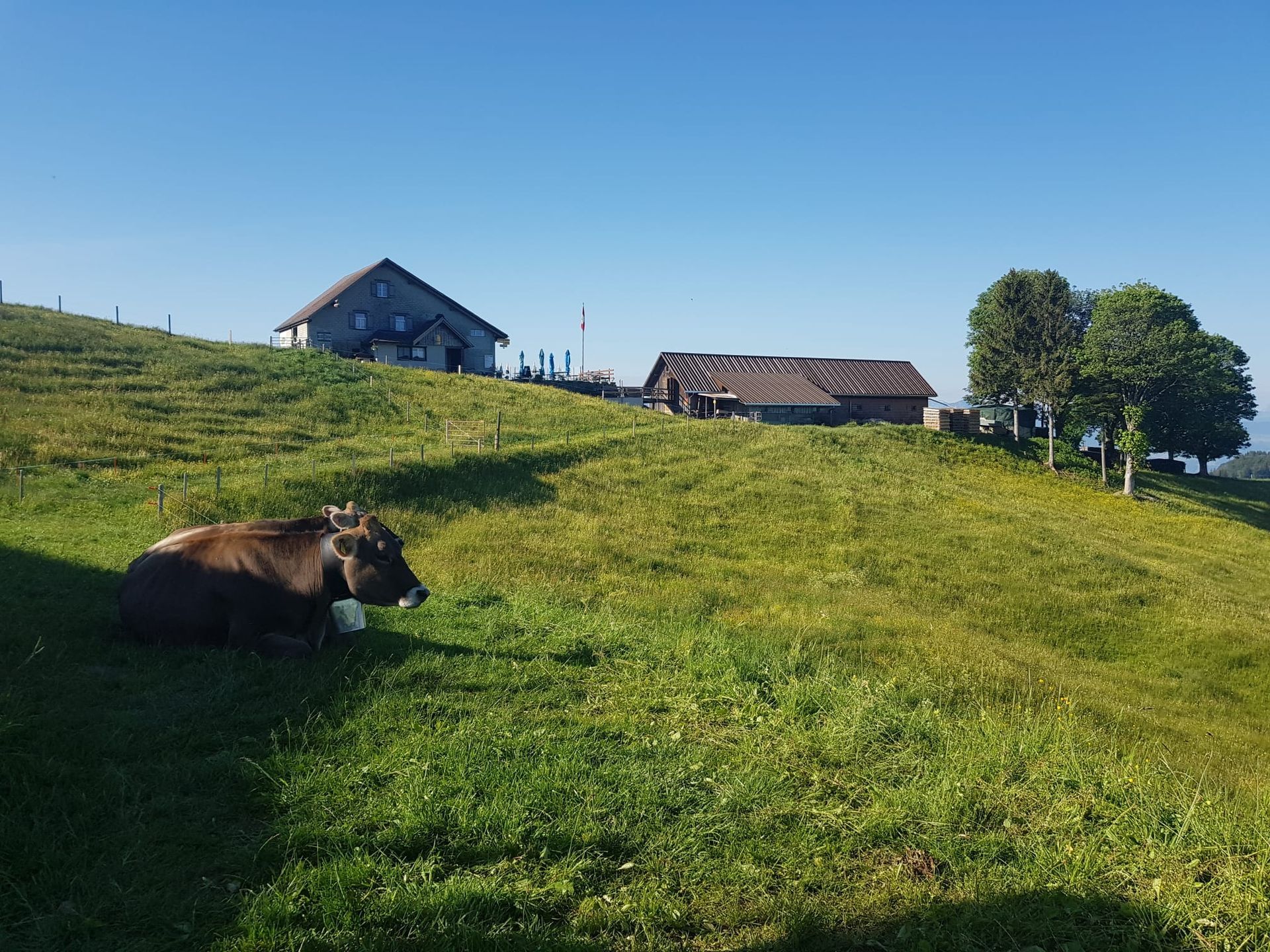 Schweizer Restaurant - Bergrestaurant Atzmännig Harz in Goldingen