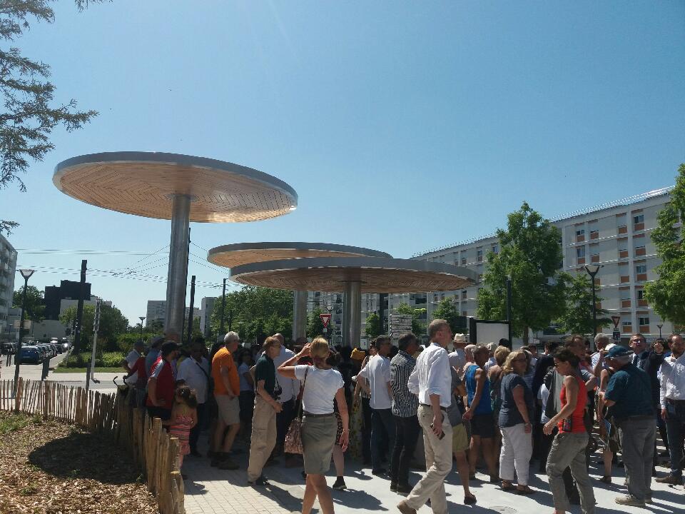 Création parasol urbain en bois dans Angers