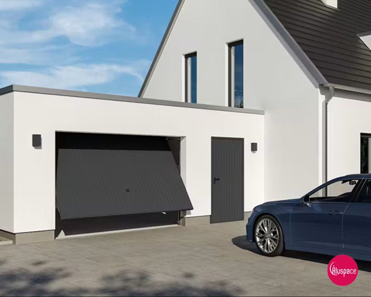 Porte de garage et plante verte au premier plant