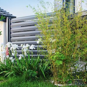 Clôture en aluminium entouré de plantes vertes