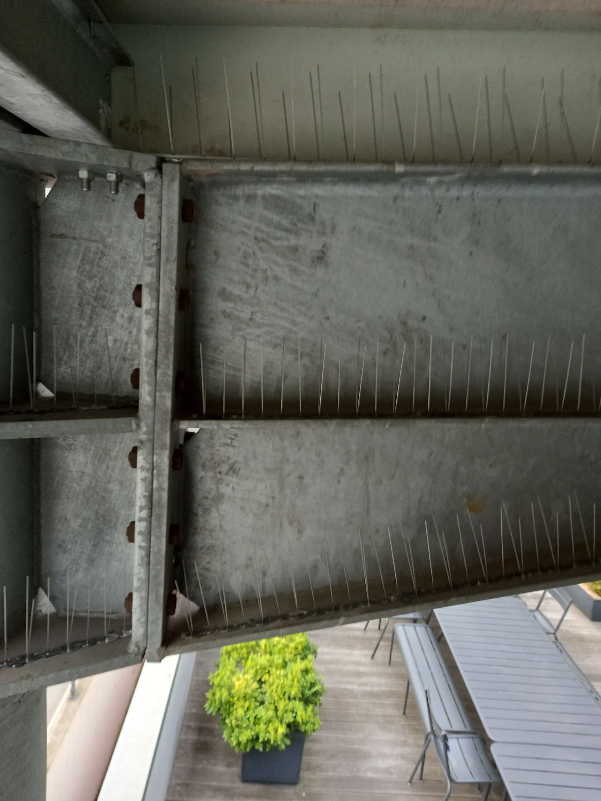 Présentation d'une pose de pic antipigeons sous le toit d'un gymnase air libre.