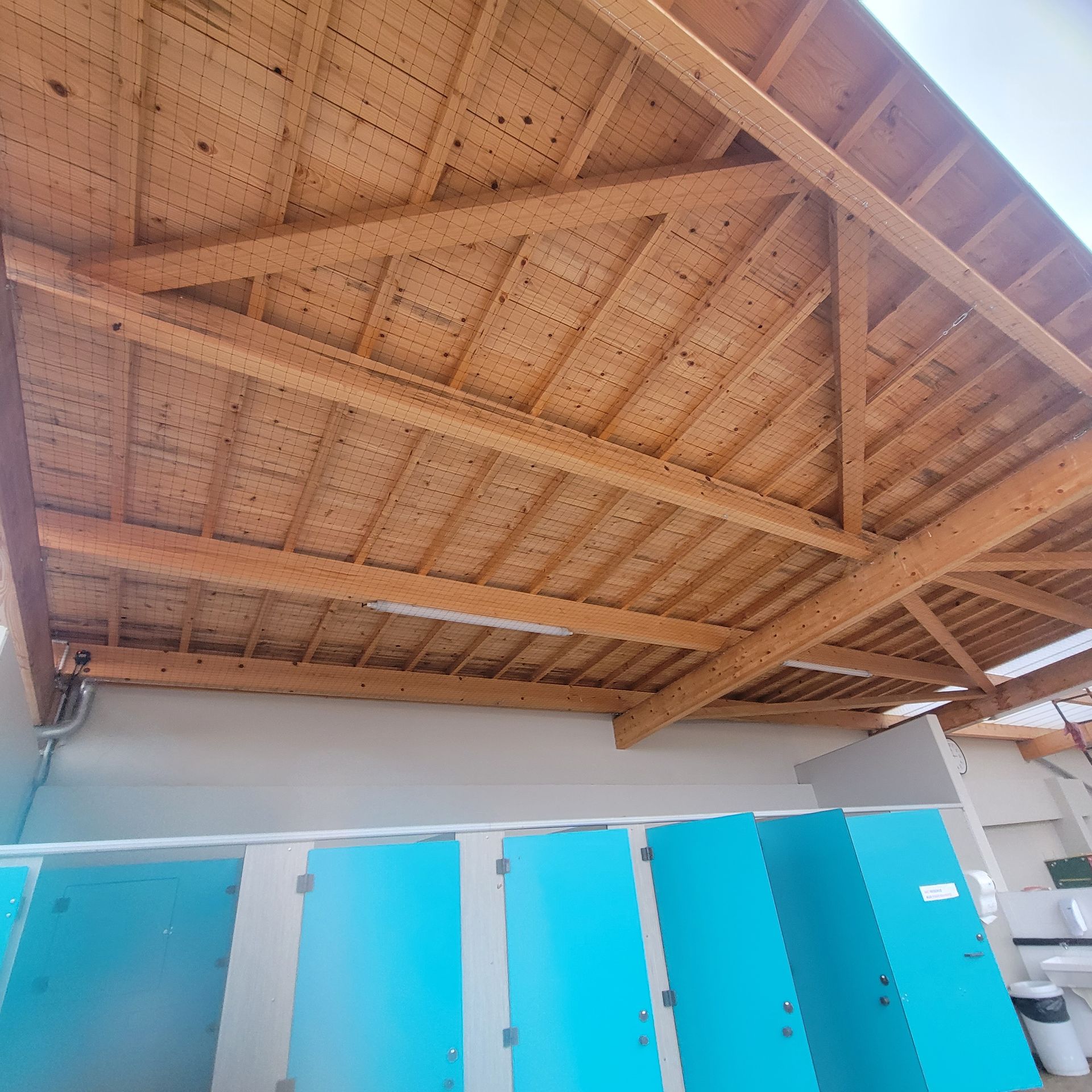 Présentation de la pose d'un filet antipigeons sous un toit de vestiaire.