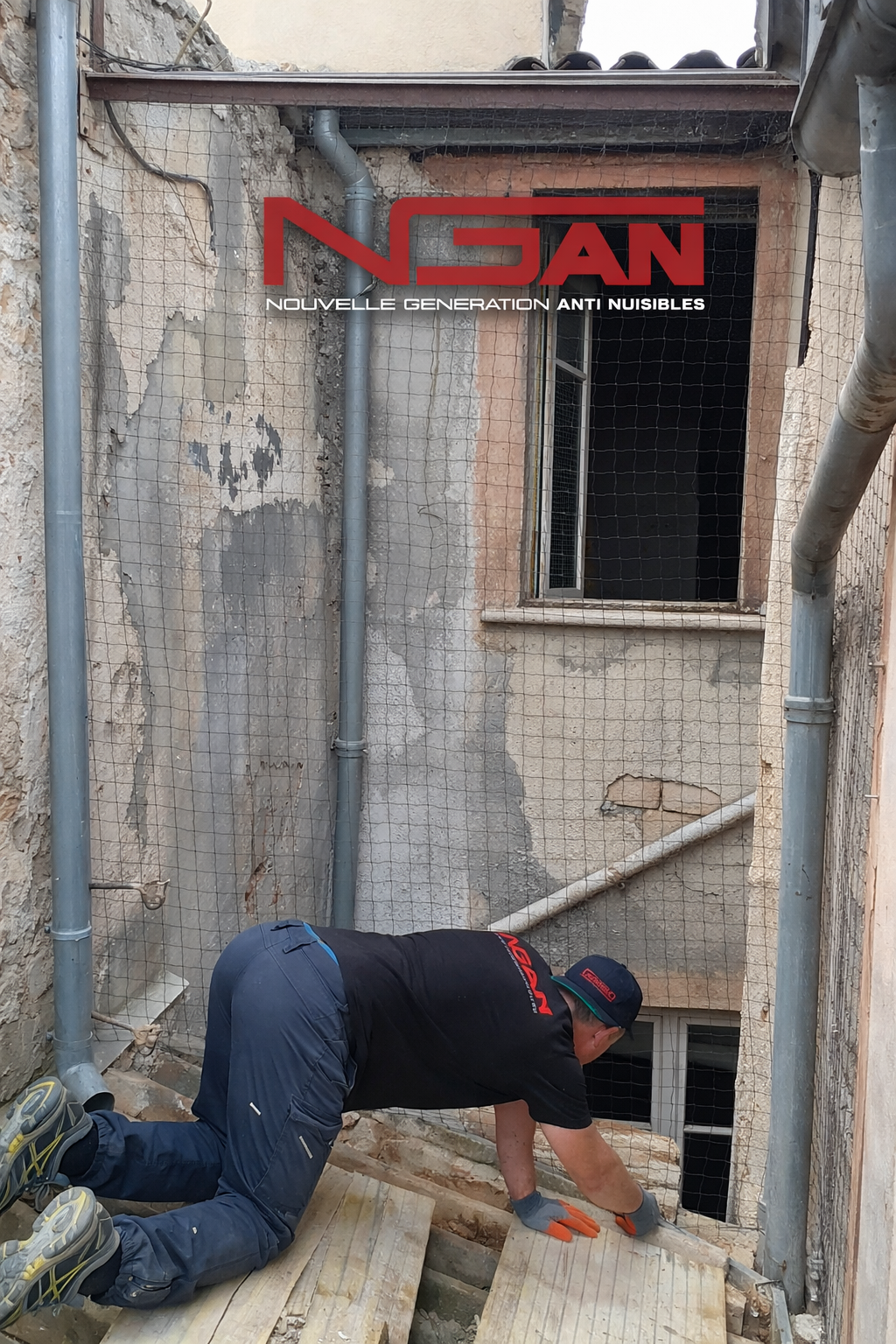 Présentation de la pose d'un filet antipigeon.