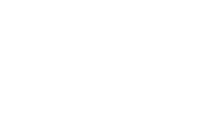 Logo von Dunlop