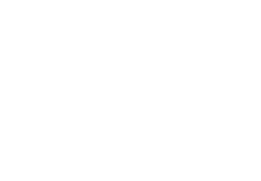 Logo von Nokian Tyres