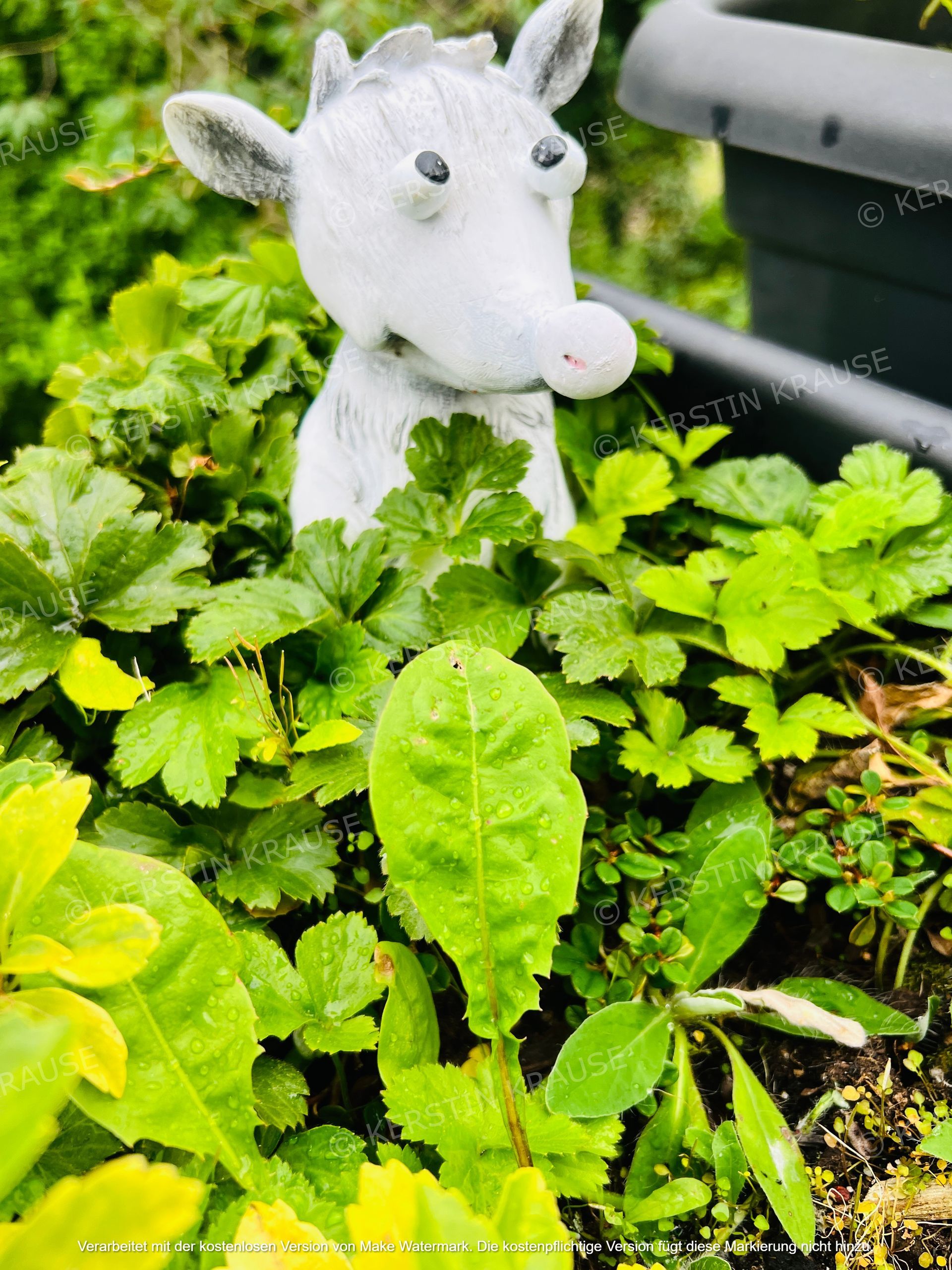 K. Krause Zimmervermietung Salzgitter Heerte - Gartendeko