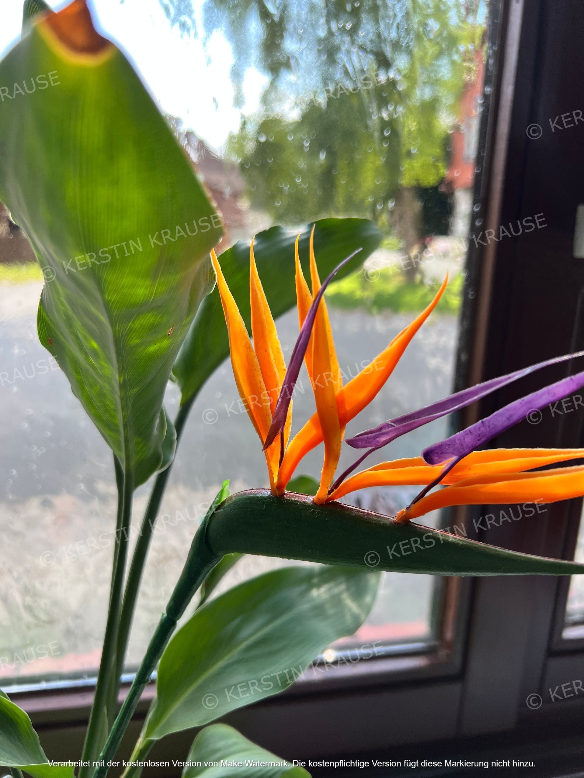 K. Krause Zimmervermietung Salzgitter Heerte - Blumen