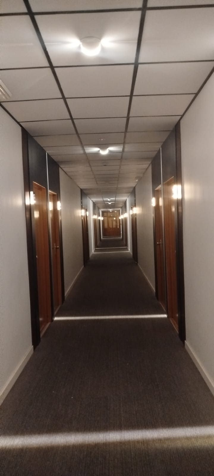 Un largo pasillo de hotel con puertas a ambos lados, piso alfombrado y luces en el techo.