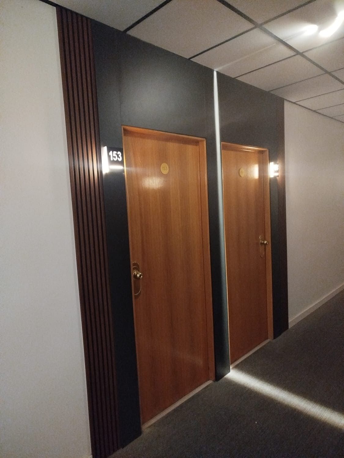 Pasillo con dos puertas de madera, cada una con una lámpara encima. Paredes con detalles en negro y marrón.