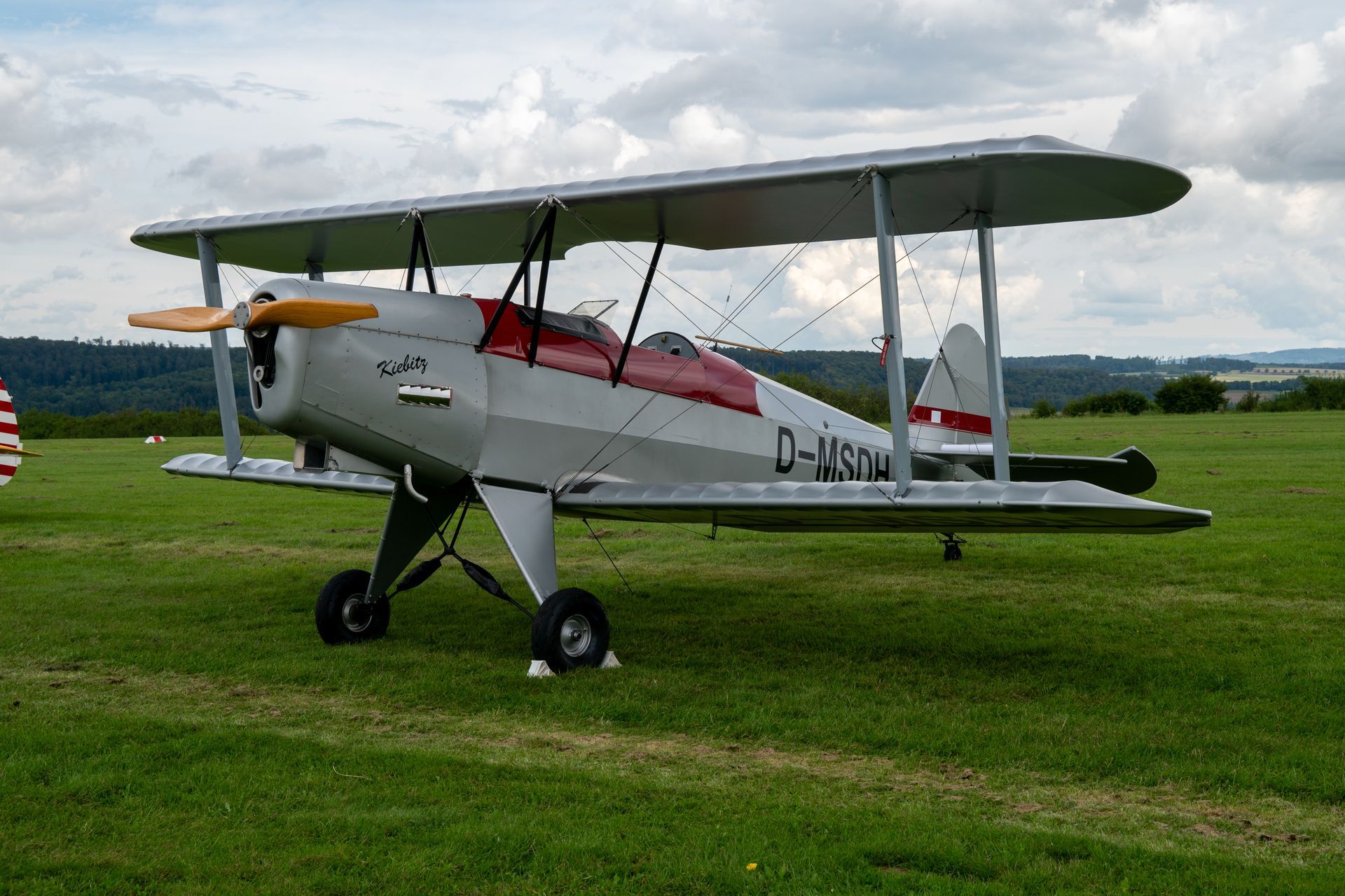 Silbernes Doppeldeckerflugzeug auf einem grasbewachsenen Feld; rotes Cockpit, Holzpropeller, bewölkter Himmel im Hintergrund.