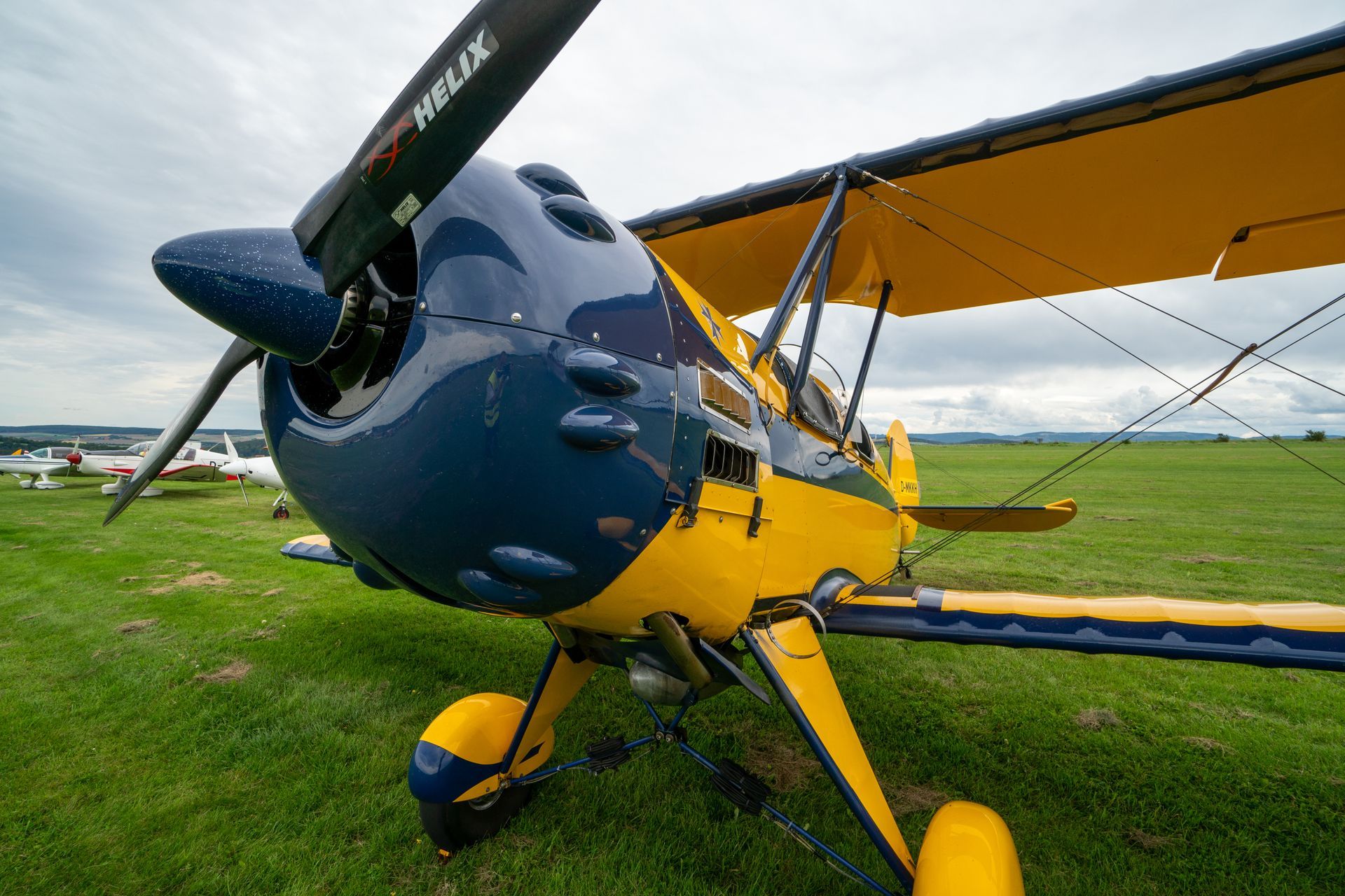 Gelb-blauer Doppeldecker auf einem grasbewachsenen Feld, Propeller startbereit, bedeckter Himmel.