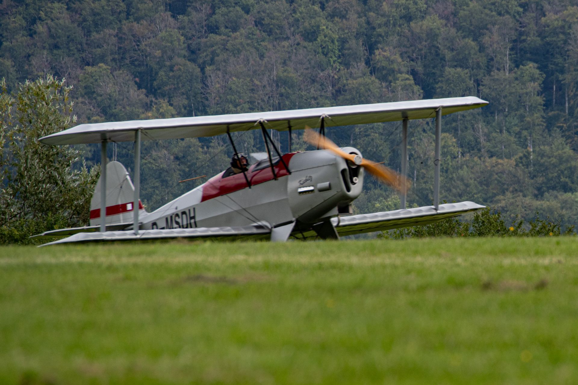 Doppeldecker auf grasbewachsenem Feld, Propeller dreht sich, vor dem Hintergrund von Bäumen.