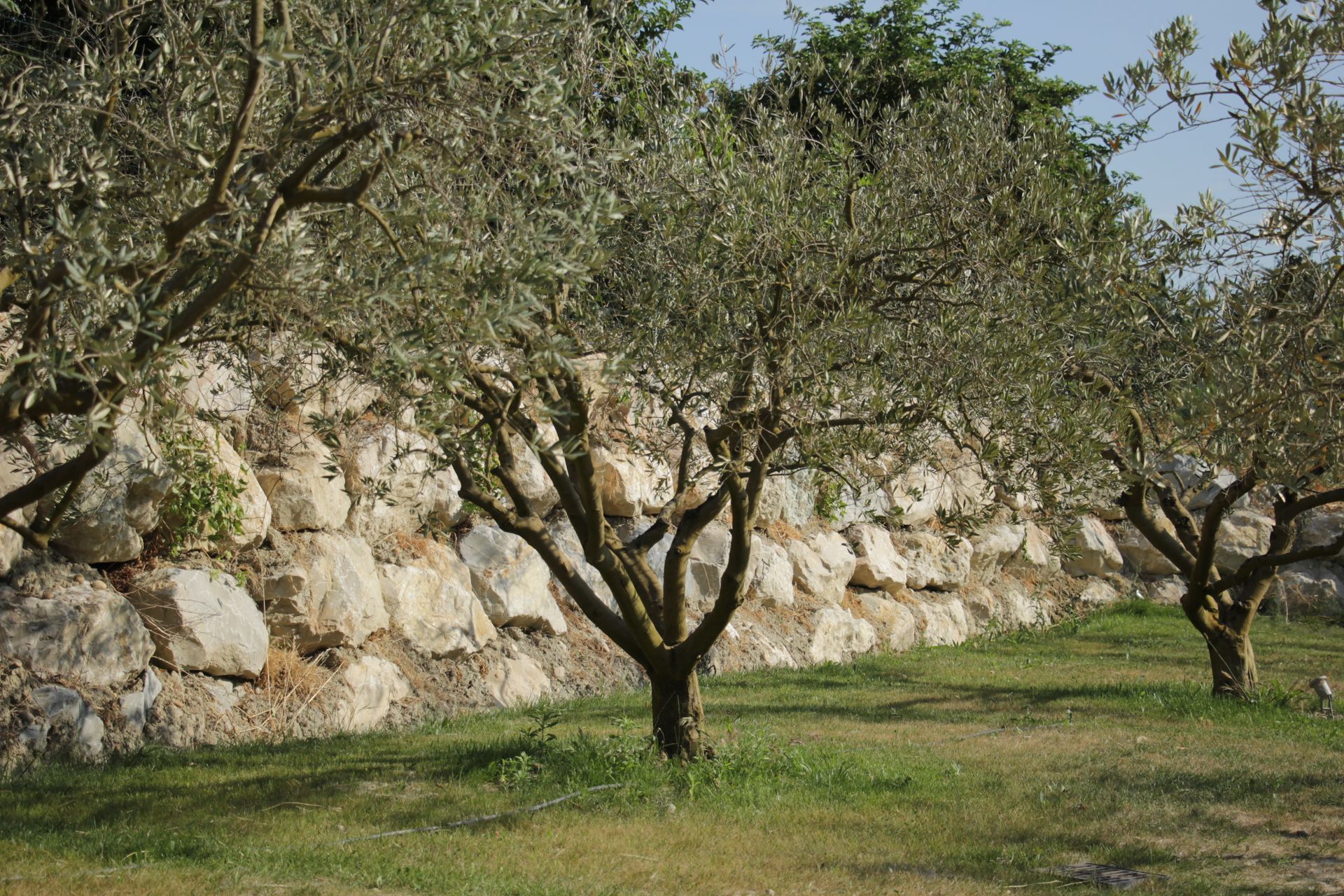 Enrochement sur une butte